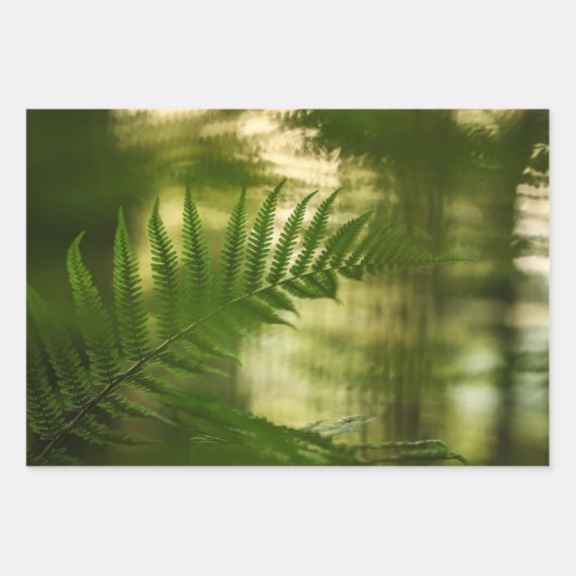 Fern Nature Foto Geschenkpapier Set (Vorderseite)