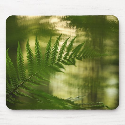 Fern Nature Foto Mousepad (Vorne)