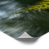 Fern Nature Foto Poster (Ecke)