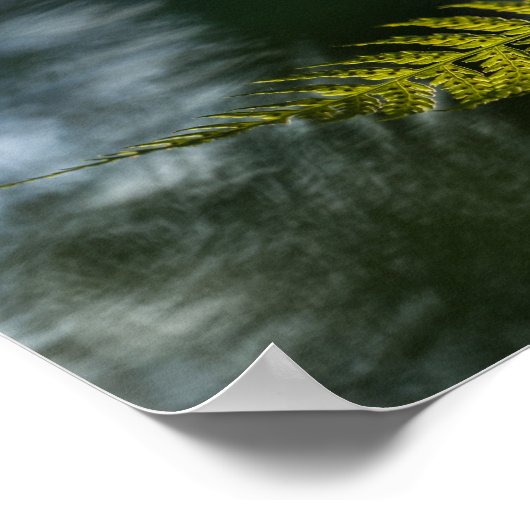 Fern Nature Foto Poster (Ecke)