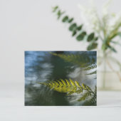 Fern Nature Foto Postkarte (Stehend Vorderseite)