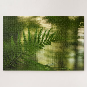 Fern Nature Foto Puzzle