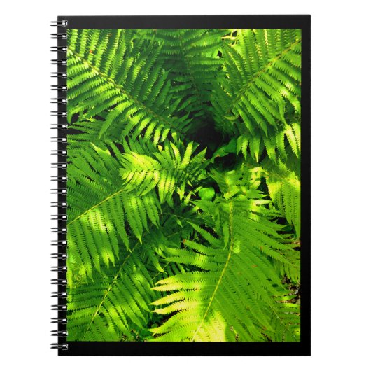 Fern Notizblock (Vorderseite)