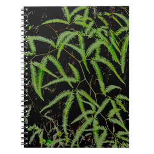 Fern Notizblock