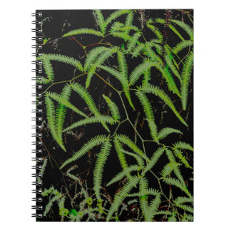 Fern Notizblock