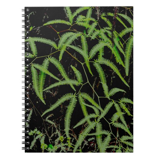 Fern Notizblock (Vorderseite)