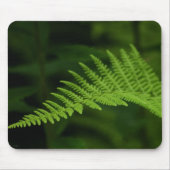 Fern P6597 Mousepad (Vorne)