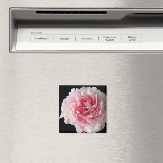 Fern Peony Square Magnet (In Situ (Geschirrspüler))