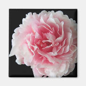 Fern Peony Square Magnet (Vorne)