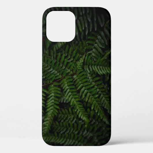 Fern Pflanze Case-Mate iPhone Hülle (Rückseite)