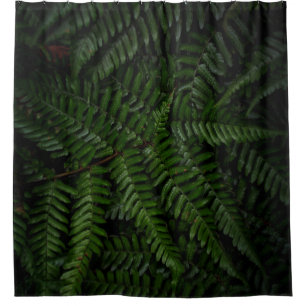 Fern Pflanze Duschvorhang
