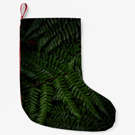 Fern Pflanze Kleiner Weihnachtsstrumpf (Vorderseite)