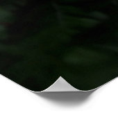 Fern Pflanze Poster (Ecke)