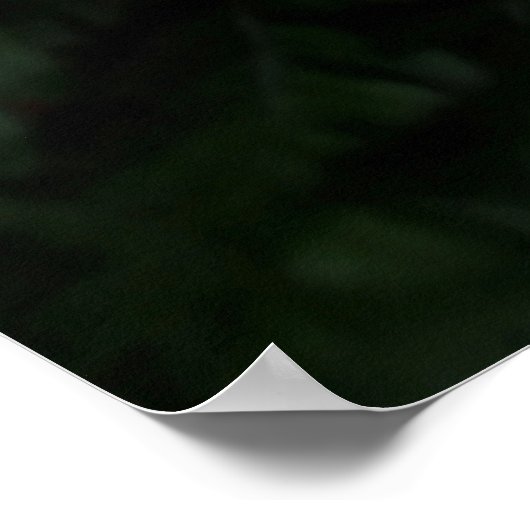 Fern Pflanze Poster (Ecke)