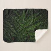 Fern Pflanze Sherpadecke (Vorderseite (Horizontal))