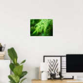 Fern Picture Poster (Heimbüro)