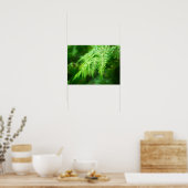 Fern Picture Poster (Küche)