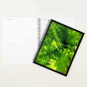 Fern Planer (Anzeige)