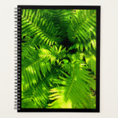 Fern Planer (Vorderseite)