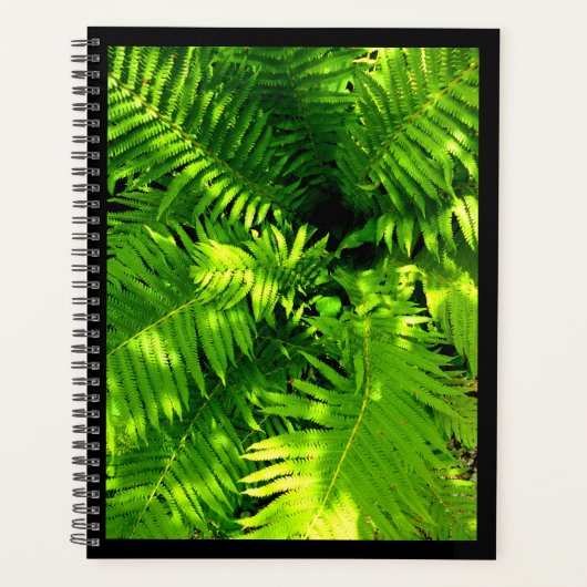 Fern Planer (Vorderseite)
