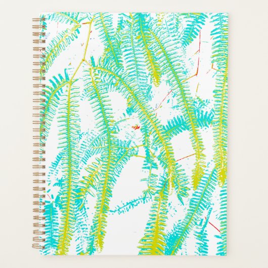 Fern Planer (Vorderseite)