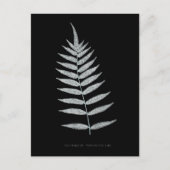 Fern - Polypodyum Fraxinifolium - Röntgeneffekt -0 Postkarte (Vorderseite)