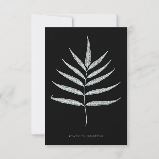 Fern - Polypodyum Grandidens - Röntgenwirkung - 10 Dankeskarte (Vorderseite)