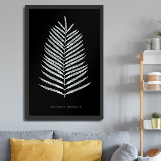 Fern - Polypodyum Henchmanii - Röntgeneffekt - 07 Poster