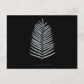 Fern - Polypodyum Henchmanii - Röntgeneffekt - 07 Postkarte (Vorderseite)