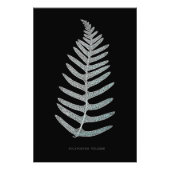Fern - Polypodyum Vulgare - Röntgeneffekt - 09 Fotodruck (Vorne)