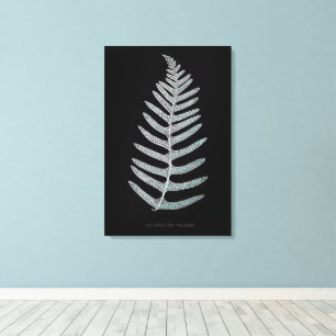 Fern - Polypodyum Vulgare - Röntgeneffekt - 09 Leinwanddruck