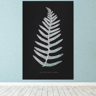 Fern - Polypodyum Vulgare - Röntgeneffekt - 09 Leinwanddruck