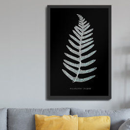 Fern - Polypodyum Vulgare - Röntgeneffekt - 09 Poster