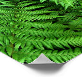 Fern Poster (Ecke)
