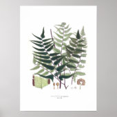 Fern Poster (Vorne)