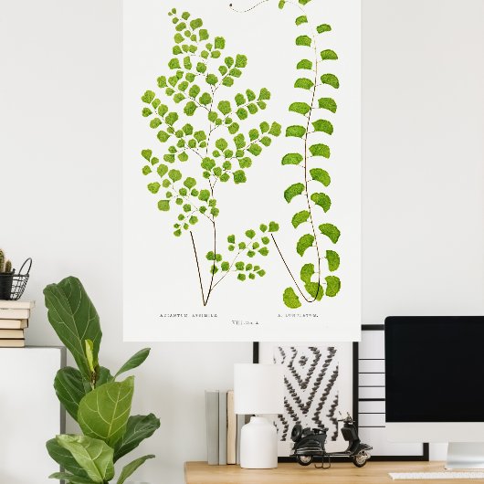 Fern Poster (Heimbüro)
