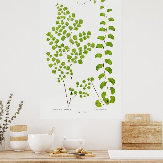 Fern Poster (Küche)