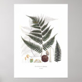 Fern Poster (Vorne)