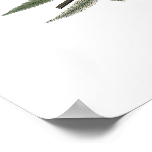 Fern Poster (Ecke)