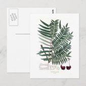 Fern Postkarte (Vorne/Hinten)