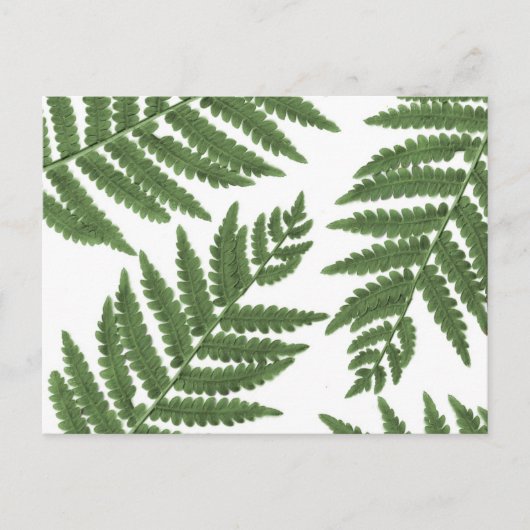 Fern Postkarte (Vorderseite)