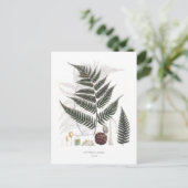Fern Postkarte (Stehend Vorderseite)