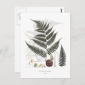 Fern Postkarte (Vorne/Hinten)