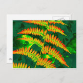 Fern Postkarte (Vorne/Hinten)