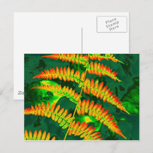 Fern Postkarte (Vorne/Hinten)