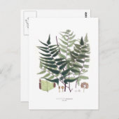 Fern Postkarte (Vorne/Hinten)