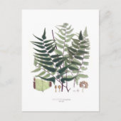 Fern Postkarte (Vorderseite)