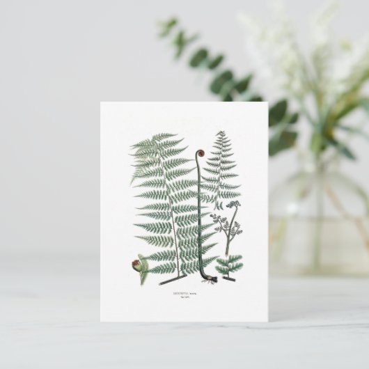 Fern Postkarte (Stehend Vorderseite)