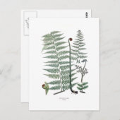 Fern Postkarte (Vorne/Hinten)