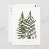 Fern Postkarte (Vorne/Hinten)